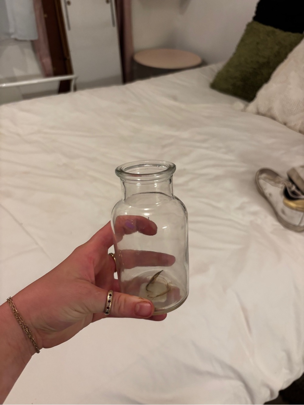 Clear Glass Decorative Bottle Vase - Home Accents